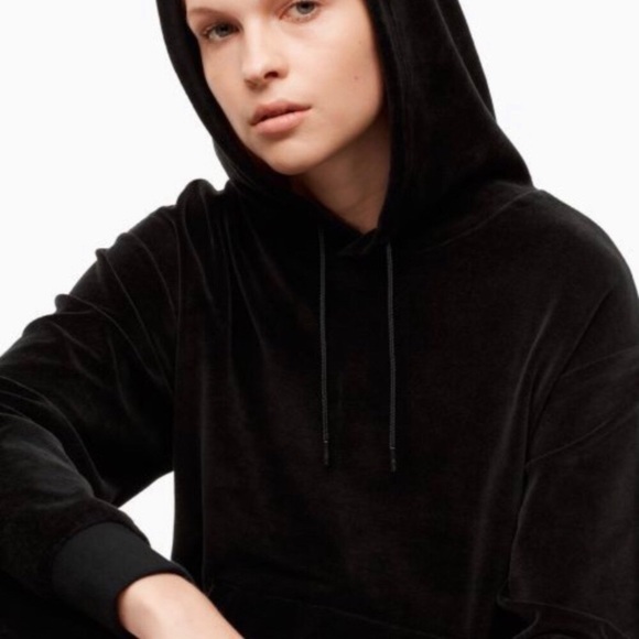 Aritzia Tops - ⭐️Aritzia TNA RARE Segura velour hoody❤️Soft and cozy!
